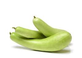 Bottle Gourd