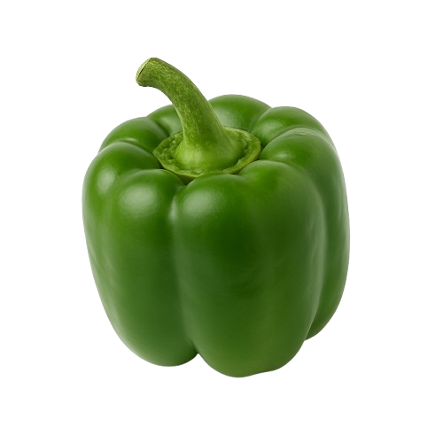 Capsicum