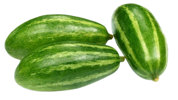 Pointed Gourd