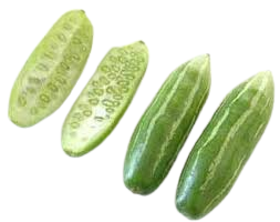 Punjabi Tinda